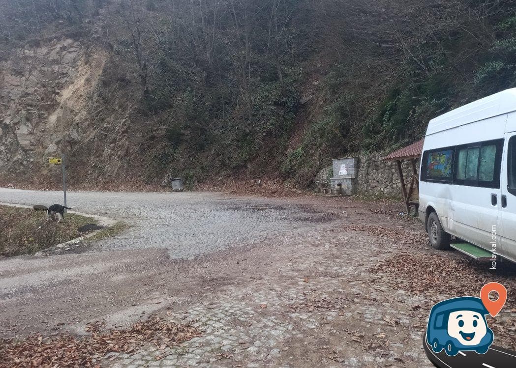 Su Deresi Yanı Piknik ve Kamp Alanı - Kürtün, Gümüşhane, foto 1