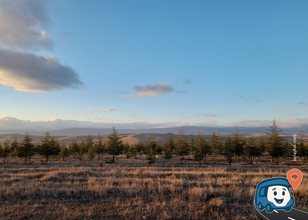 Afyonkarahisar Orman İçi Kamp Alanı - Sinanpaşa, foto 2