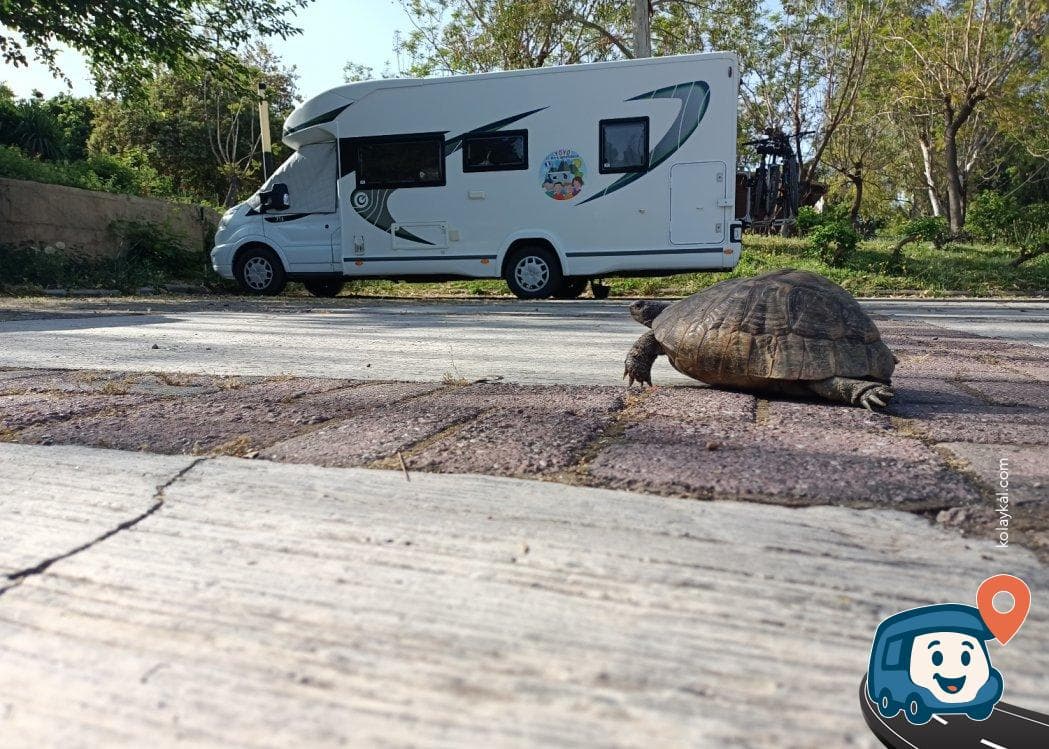Atatürk Kültür Merkezi Yanı Otopark ve Kamp Alanı - Muratpaşa, Antalya, foto 2