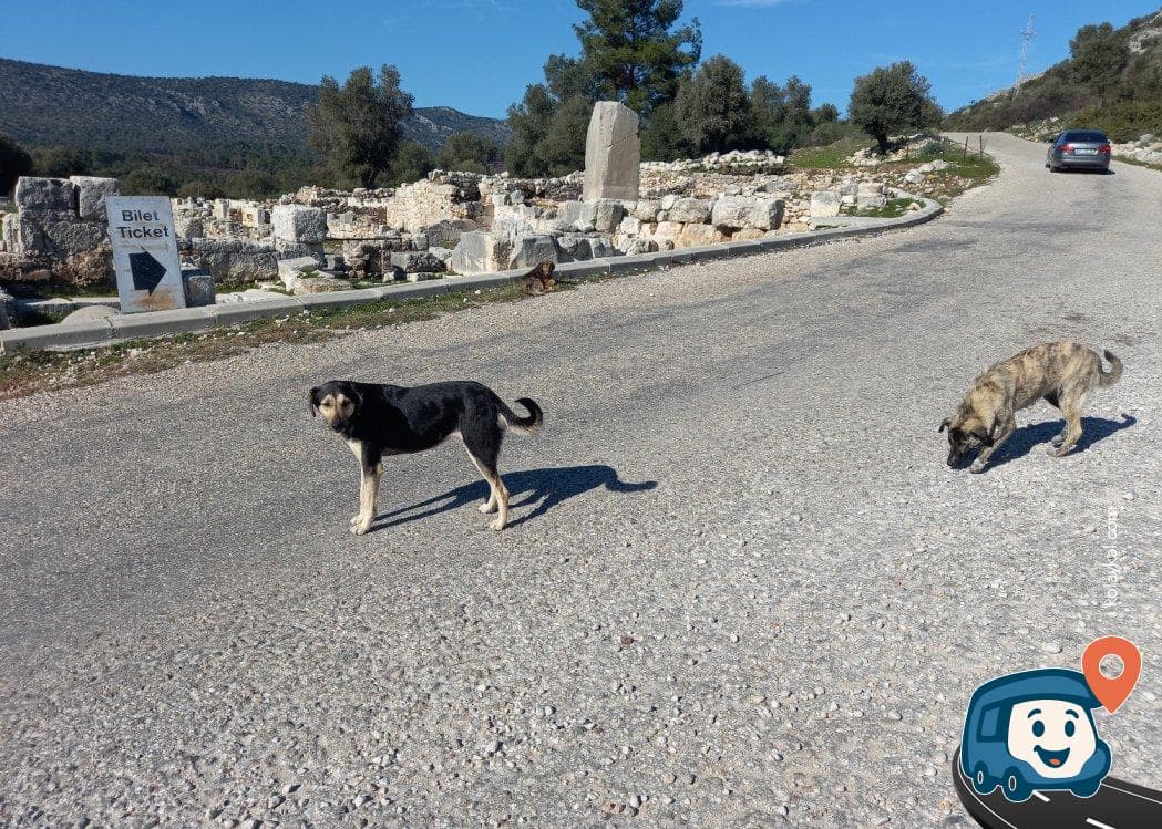 Ksantos Antik Kenti - Kaş, Antalya, foto 2