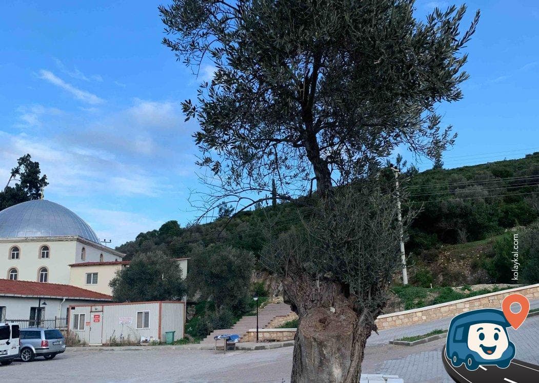 İsa Bey Camii Yanındaki Otopark - Selçuk, İzmir, foto 2