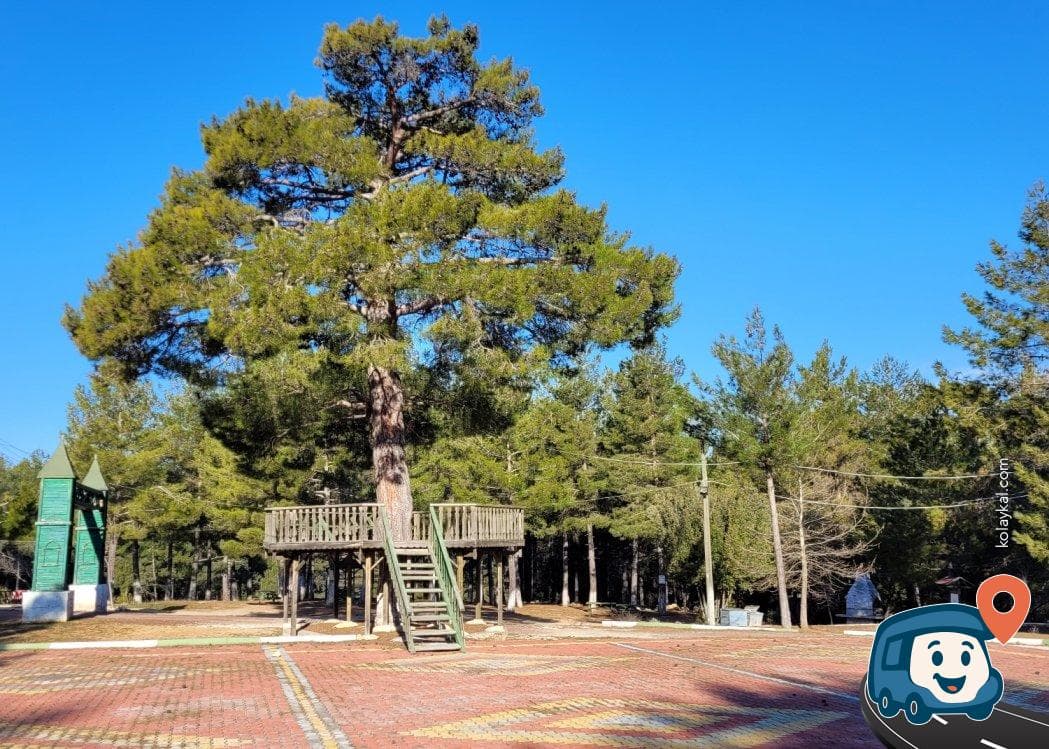 Piknik Alanı ve Kamp Yeri - Sütçüler, Isparta, foto 1