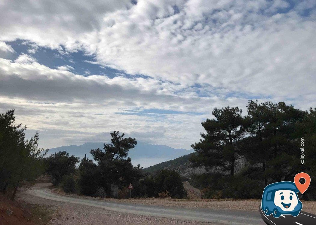 Spil Dağı Milli Parkı Yolu Kamp Alanı - Kemalpaşa, İzmir, foto 2