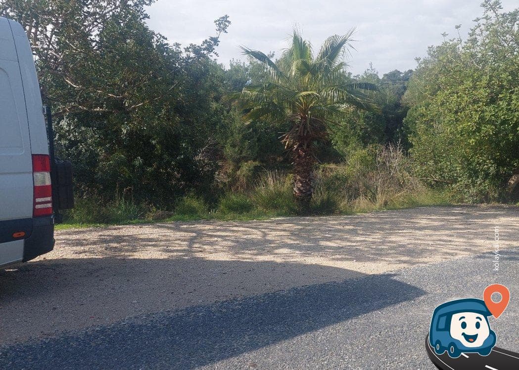 Seyhan Nehri Kenarı Sakin Kamp Alanı - Çukurova, Adana, foto 1