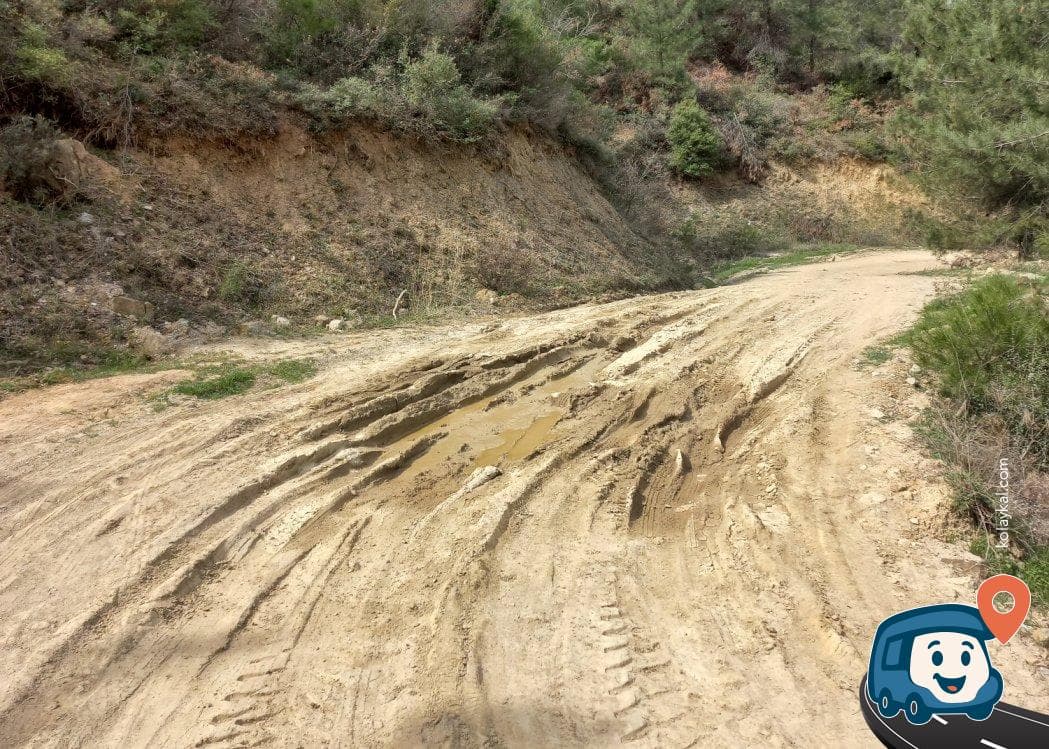 Göl Üstü Sakin Nokta - Soma, Manisa, foto 9