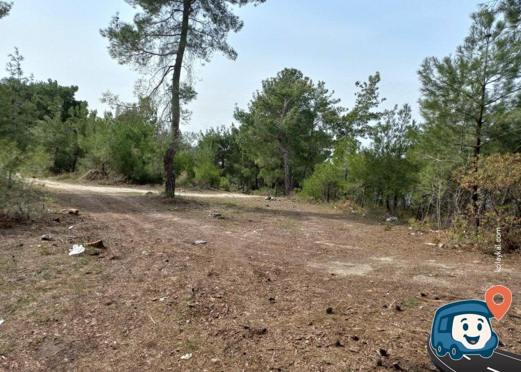 Göl Üstü Sakin Nokta - Soma, Manisa, foto 8