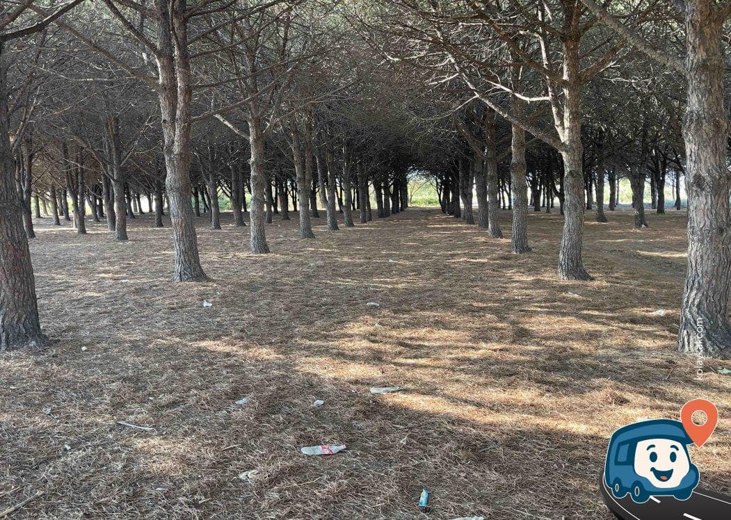 Alçıtepe Köyü Su Kaynağı ve Kamp Alanı - Çanakkale Merkez, Çanakkale, foto 1