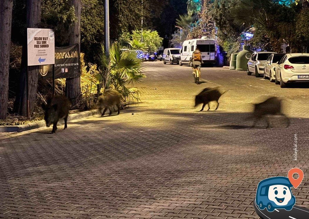 Marmaris Halk Plajı Otoparkı Şehir Merkezine Yakın Ücretsiz Konaklama - Muğla, foto 4