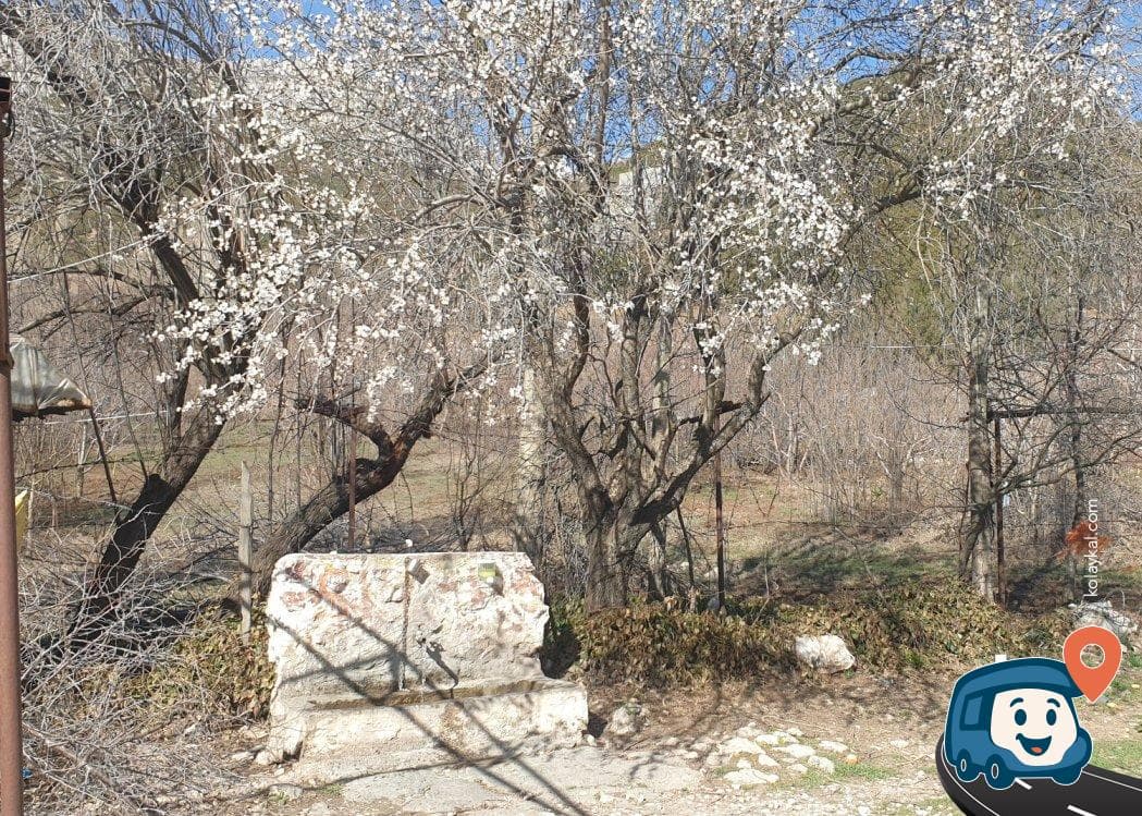 Rakım 1225 Dinlenme Tesisi - Burdur Merkez, Burdur, foto 1