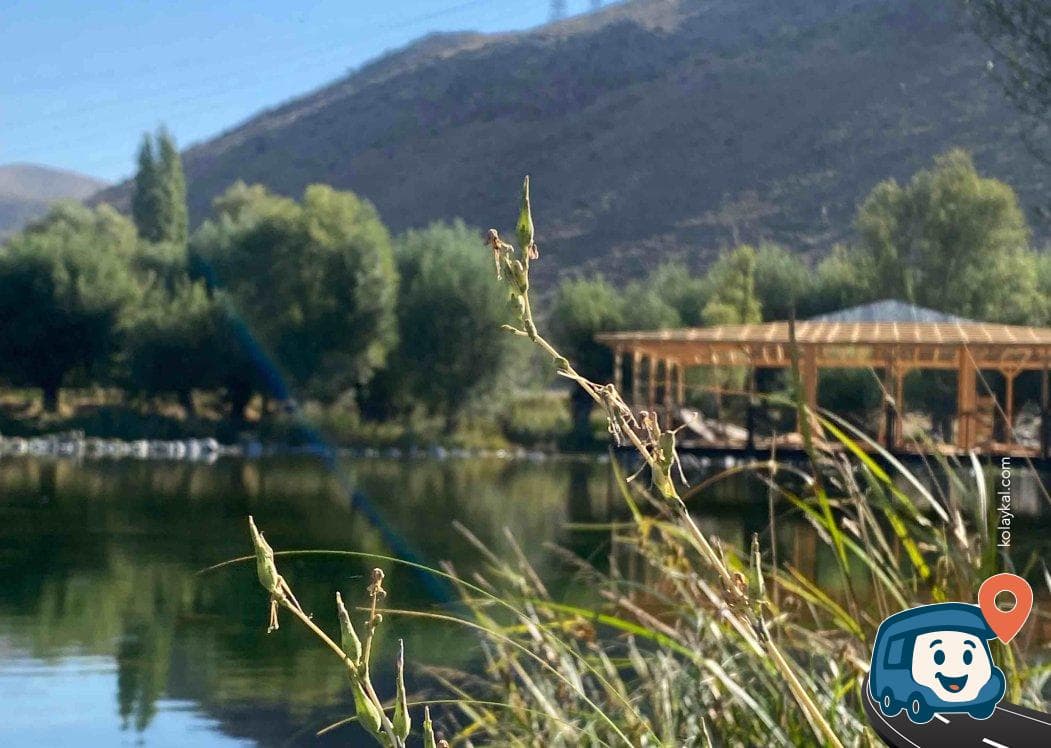 Gölet Kenarı Kamp ve Mola Alanı - Develi, Kayseri, foto 3