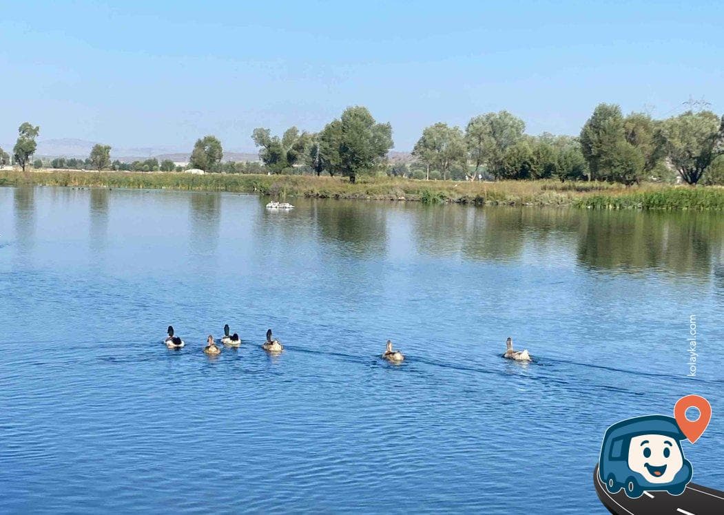 Gölet Kenarı Kamp ve Mola Alanı - Develi, Kayseri, foto 2