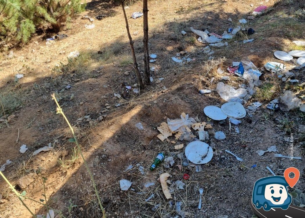 Ilgın Gölü Kenarı Kamp ve Piknik Alanı - Konya, foto 4