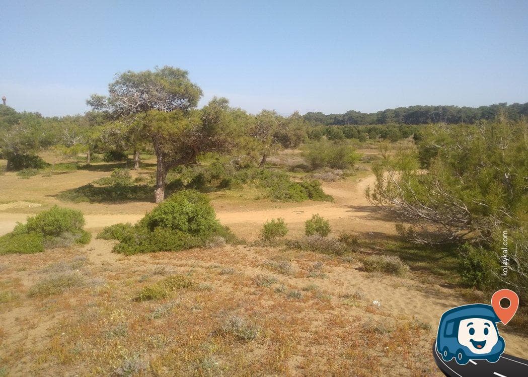 Denizkent Kamp Alanı - Manavgat, Antalya, foto 1