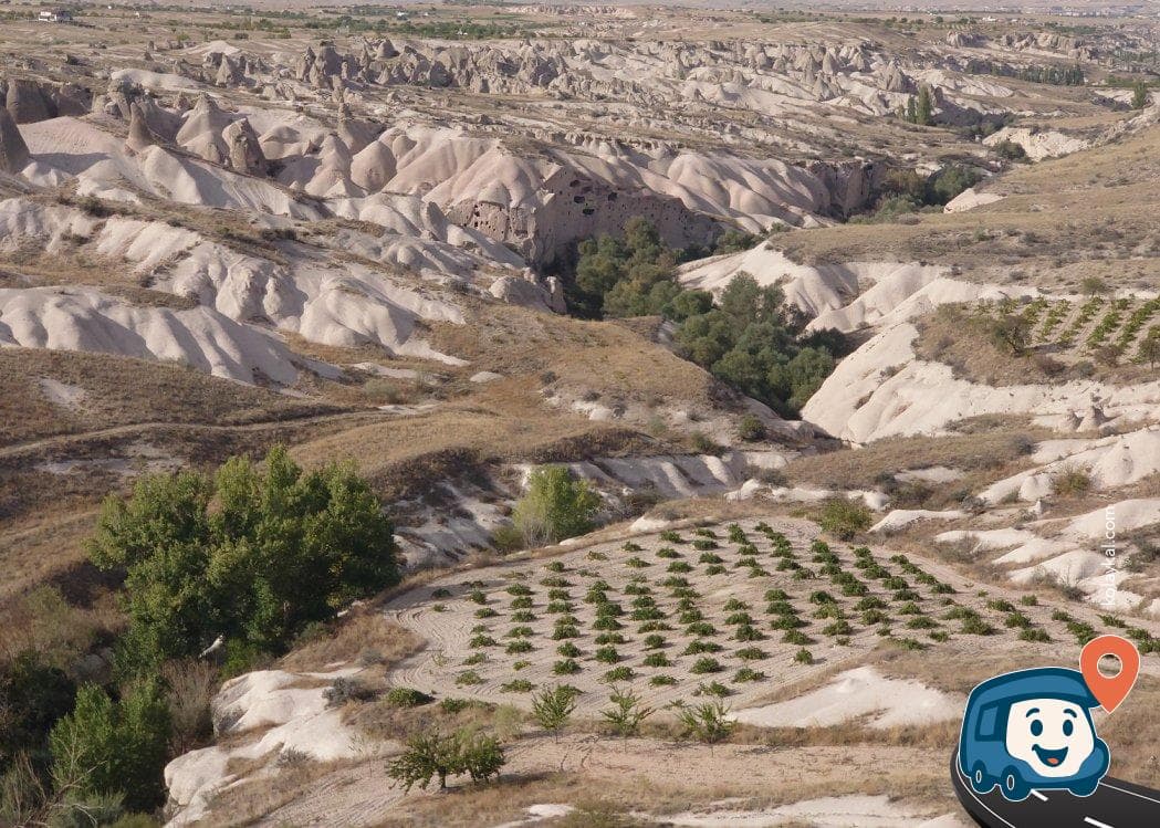 Kedi Vadisi Kamp Alanı - Nevşehir Merkez, Nevşehir, foto 4