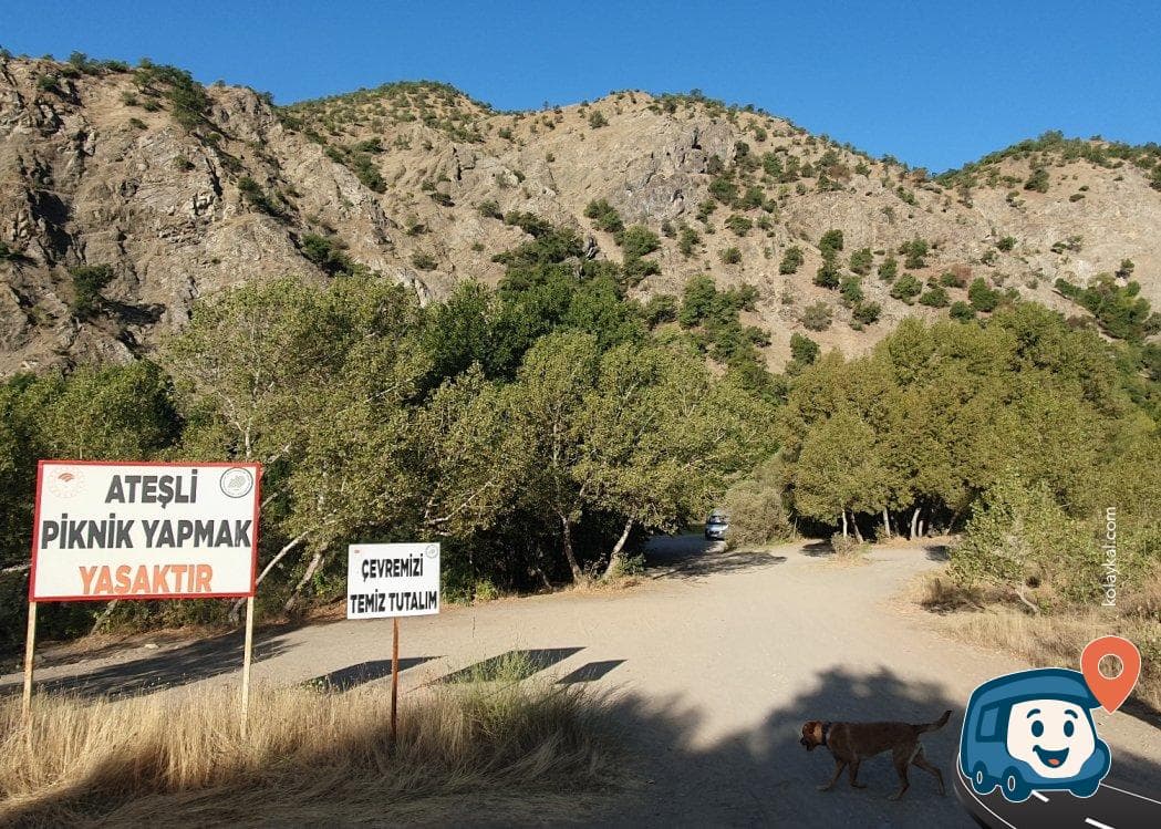 Peri Suyu Kenarı Kamp ve Piknik Alanı - Tunceli Merkez, Tunceli, foto 2