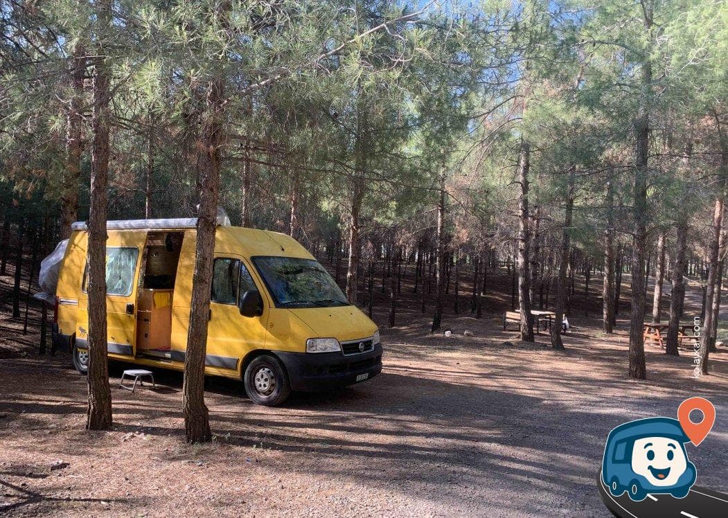 Ücretli Orman Kamp Alanı - Karaköprü, Şanlıurfa, foto 1