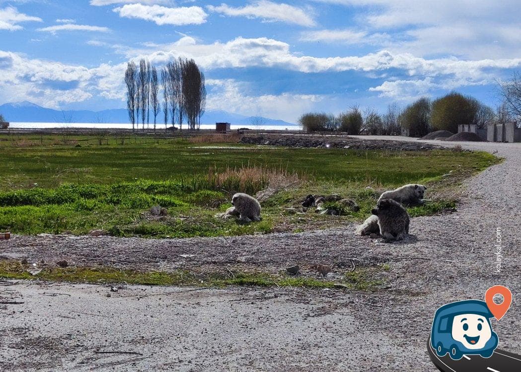 Van Kalesi Giriş Otoparkı - İpekyolu, foto 6