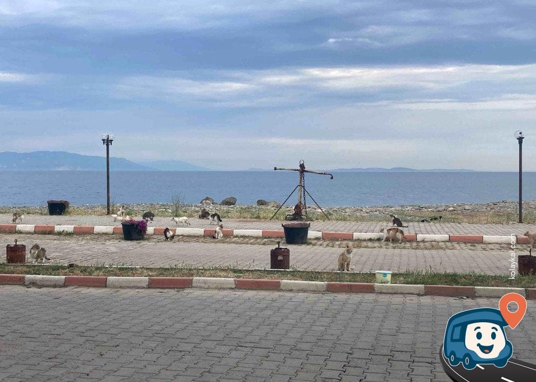 Balıkçı Köyü Otopark ve Dinlenme Alanı - Şarköy, Tekirdağ, foto 1