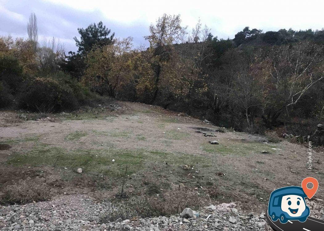 Bergama Yakınlarında Orman Manzaralı Mola Noktası - İzmir, foto 3