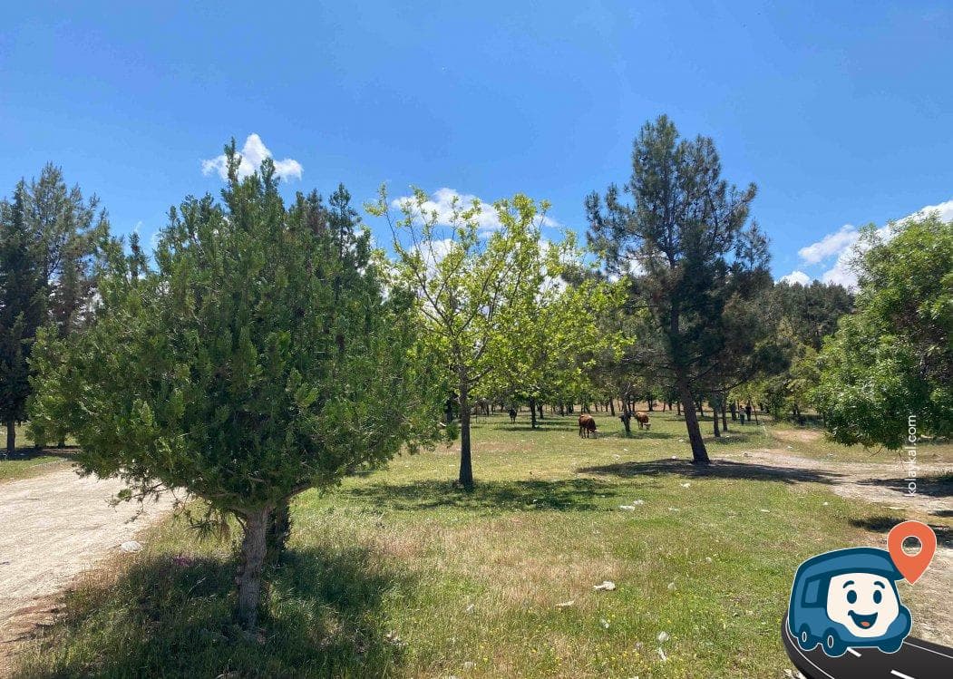 Yaslıca Hayal Parkı - Bozova, Şanlıurfa, foto 1