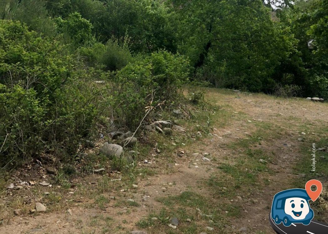 Bergama Yakınlarında Orman Manzaralı Mola Noktası - İzmir, foto 2