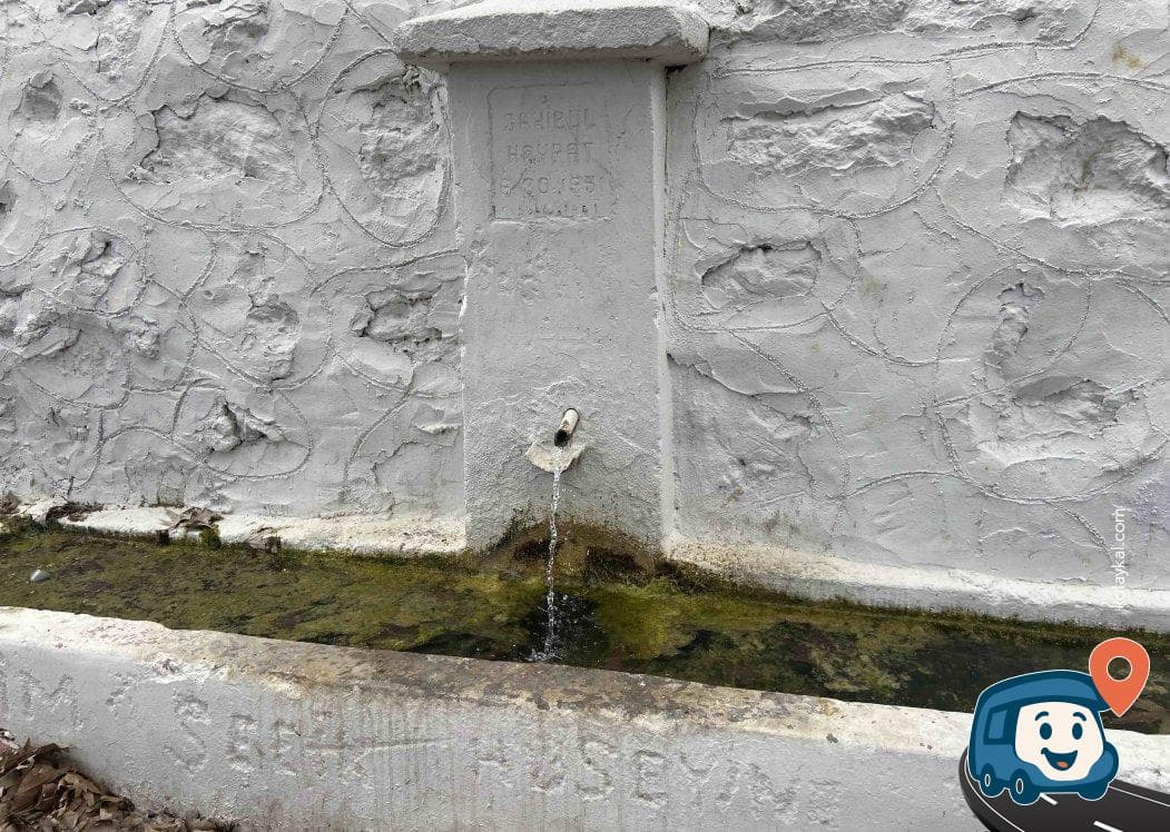 Cevizli Piknik ve Dinlenme Alanı - Akseki, Antalya, foto 3