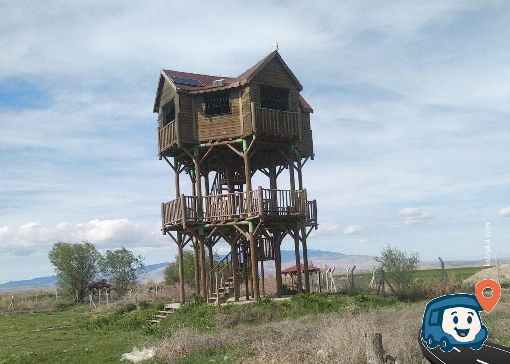 Seydiler Piknik Alanı - Çay, Afyonkarahisar, foto 2