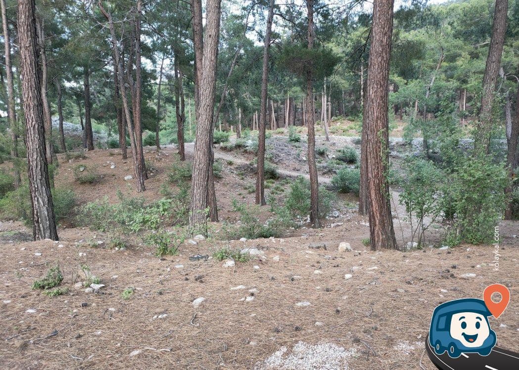 Hisarçandır Yolu Üzeri Ormanlık Kamp Alanı - Konyaaltı, Antalya, foto 2