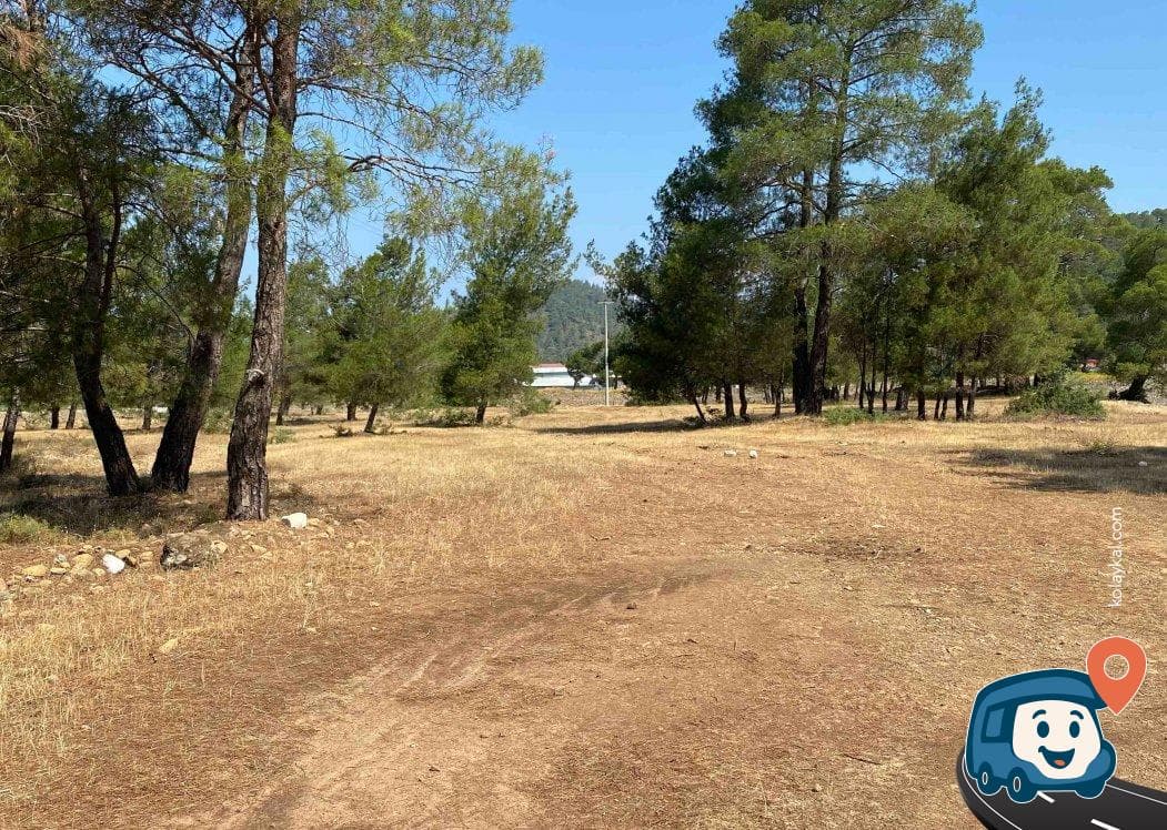 Marmaris Köyceğiz Yolu Üzeri Ağaçlık Kamp Alanı - Muğla, foto 1