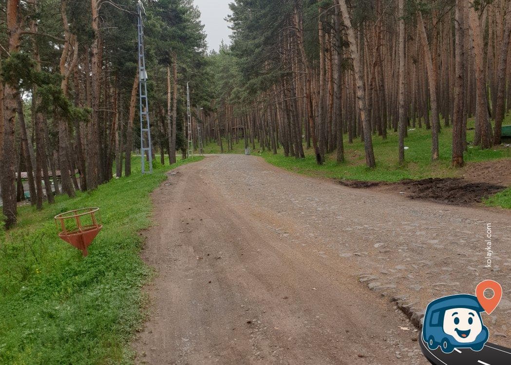 Ardahan Üniversitesi Karşısı Piknik Alanı - Ardahan Merkez, foto 1