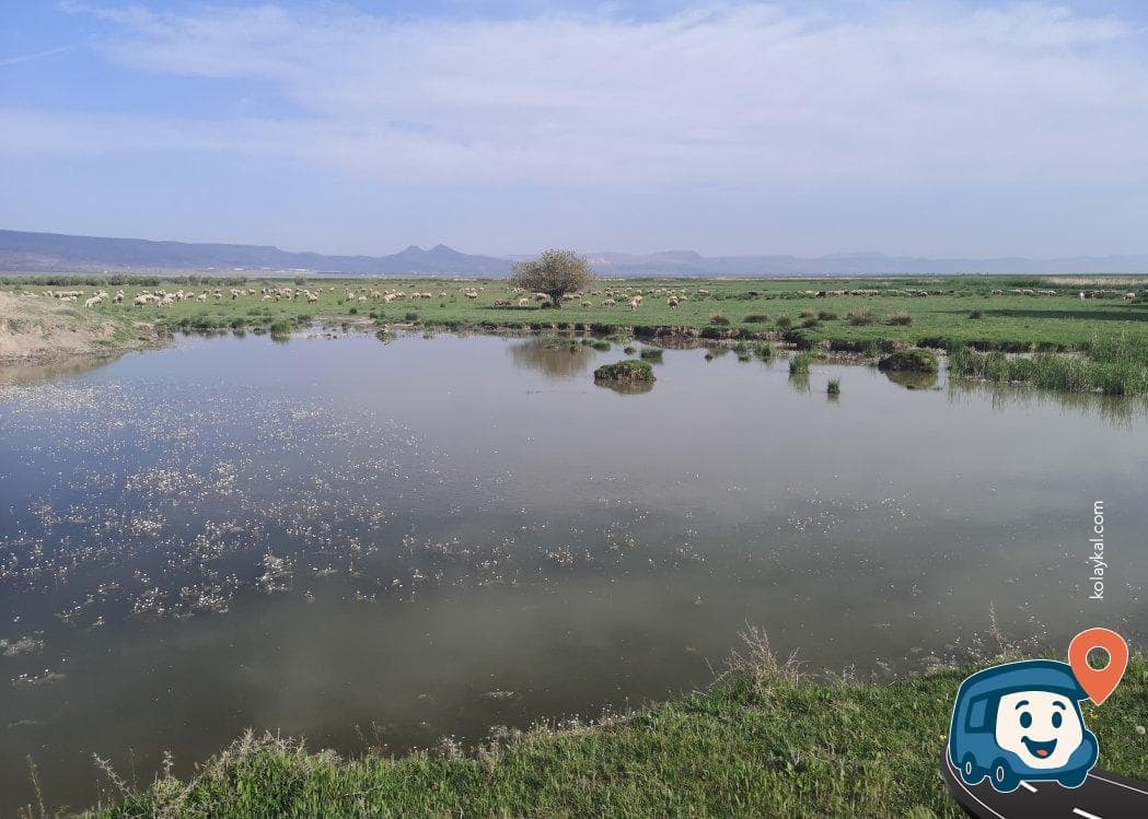 Yay Gölü Kamp Alanı - Yeşilhisar, Kayseri, foto 2