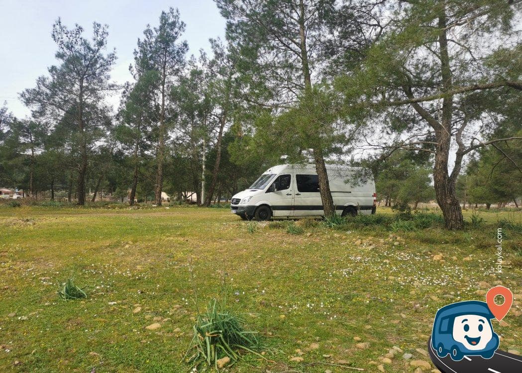 Marmaris Köyceğiz Yolu Üzeri Ağaçlık Kamp Alanı - Muğla, foto 3