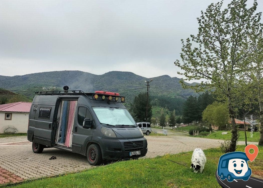 Van Gölü Yolu Piknik ve Kamp Alanı - Baykan, Siirt, foto 3