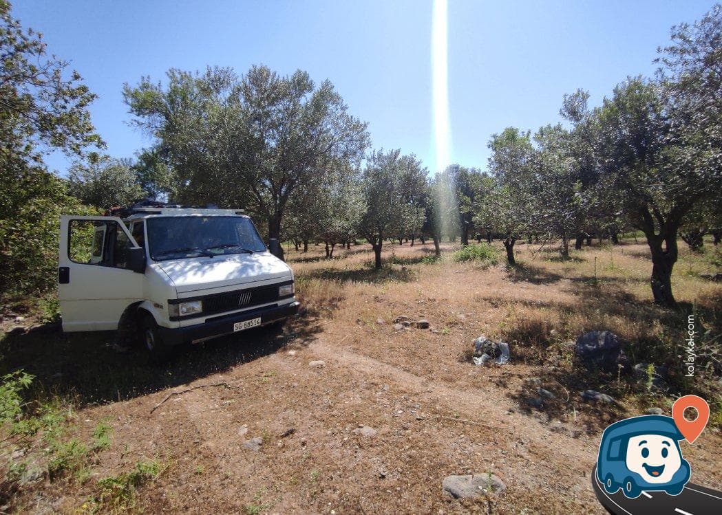 Ayvacık Barajı Kamp Alanı - Çanakkale, foto 1