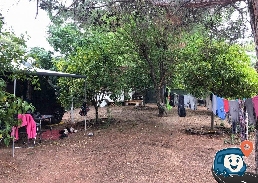 Çıralı Plajı Kamp Alanı - Kemer, Antalya, foto 4