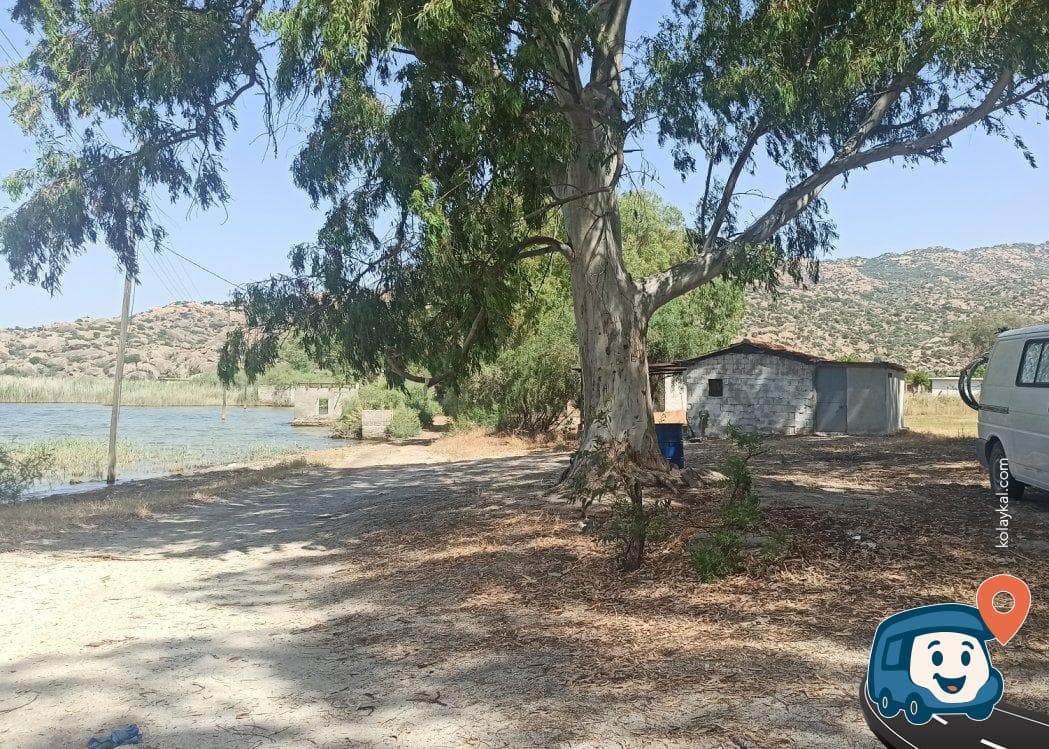 Bafa Gölü Kenarı Okaliptüs Ağaçları Altı Park Alanı - Milas, Muğla, foto 2