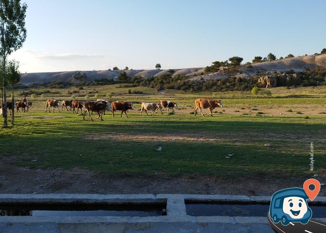 Frig Vadisi Karavan Park Alanı - İhsaniye, Afyonkarahisar, foto 1