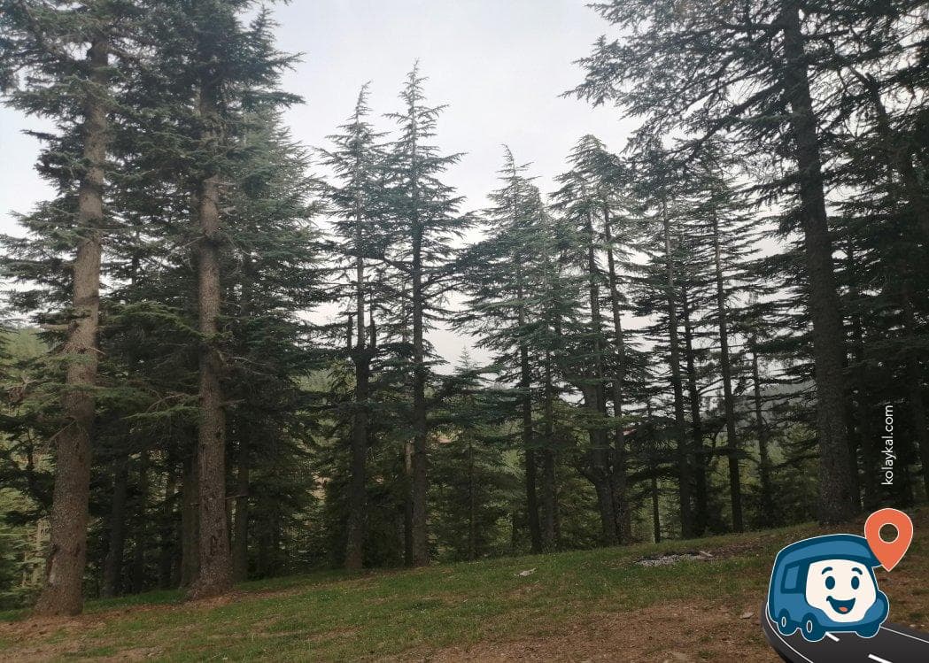 Aladağlar Eteklerinde Kamp Alanı - Kozan, Adana, foto 1