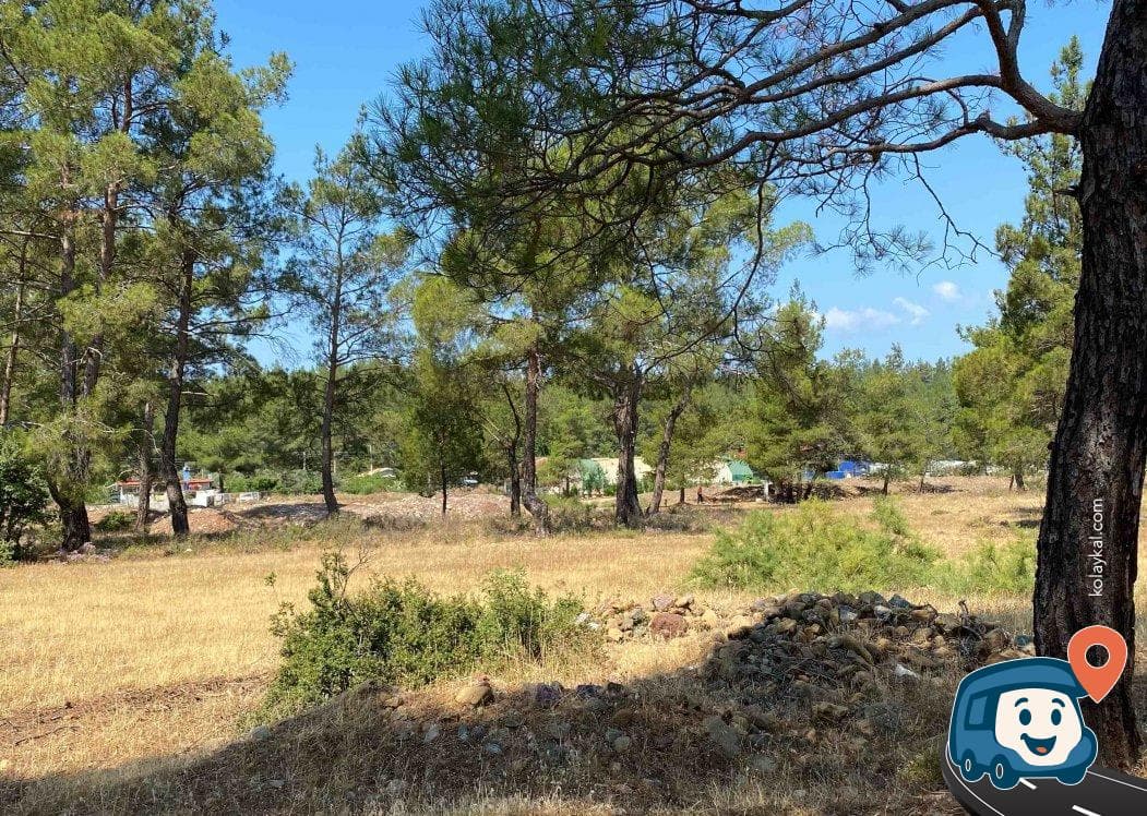 Marmaris Köyceğiz Yolu Üzeri Ağaçlık Kamp Alanı - Muğla, foto 2
