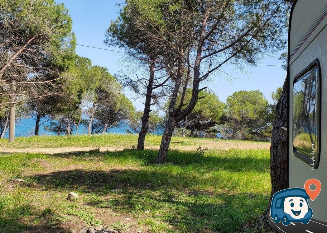 M. Nuri Erer Belediye Çamlığı Piknik Sahası - Gelibolu, Çanakkale, foto 4
