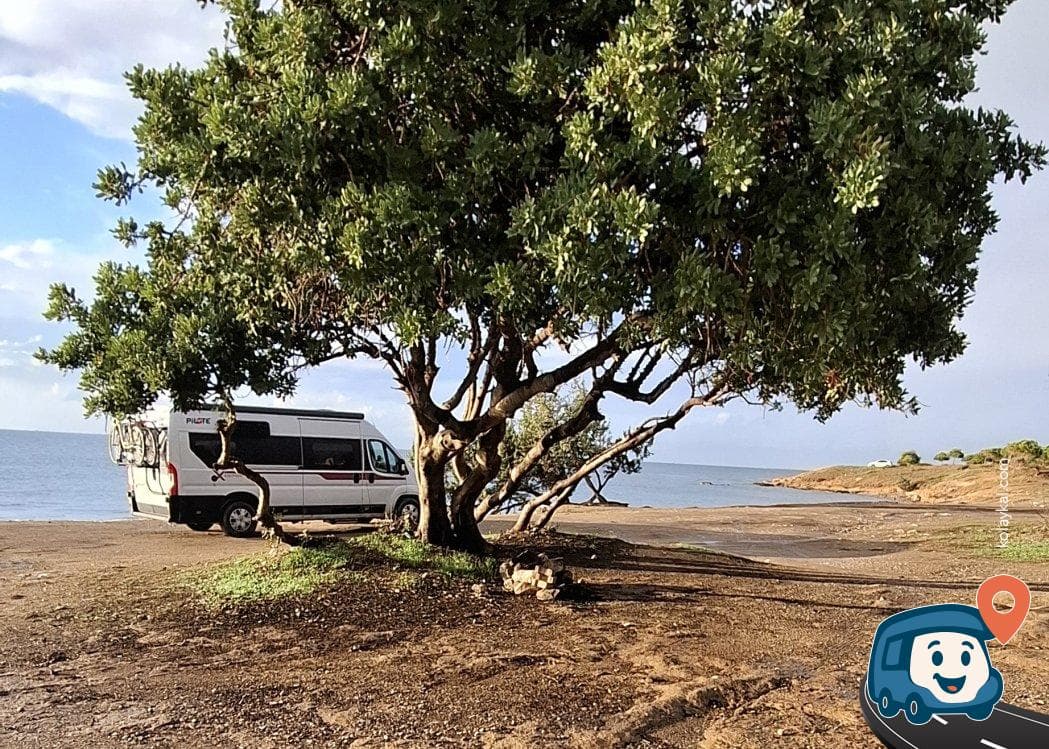 Didim Ücretsiz Kamp Alanı - Aydın, foto 1