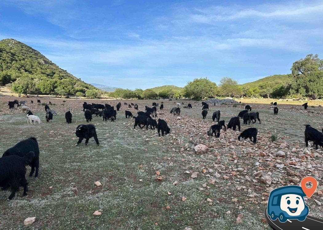 Kaş Yakınlarında İzole Kamp Alanı (4x4 Önerilir) - Antalya, foto 4