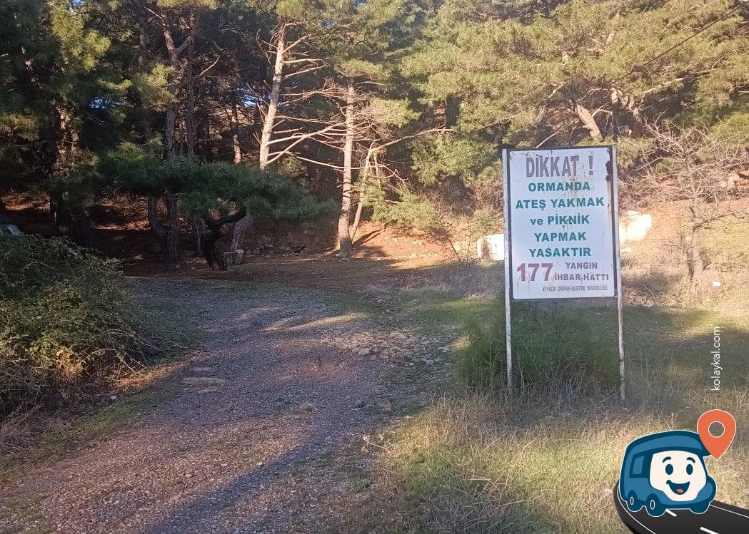 Çam Ağaçları Altı Dinlenme Alanı - Ayvacık, Çanakkale, foto 2