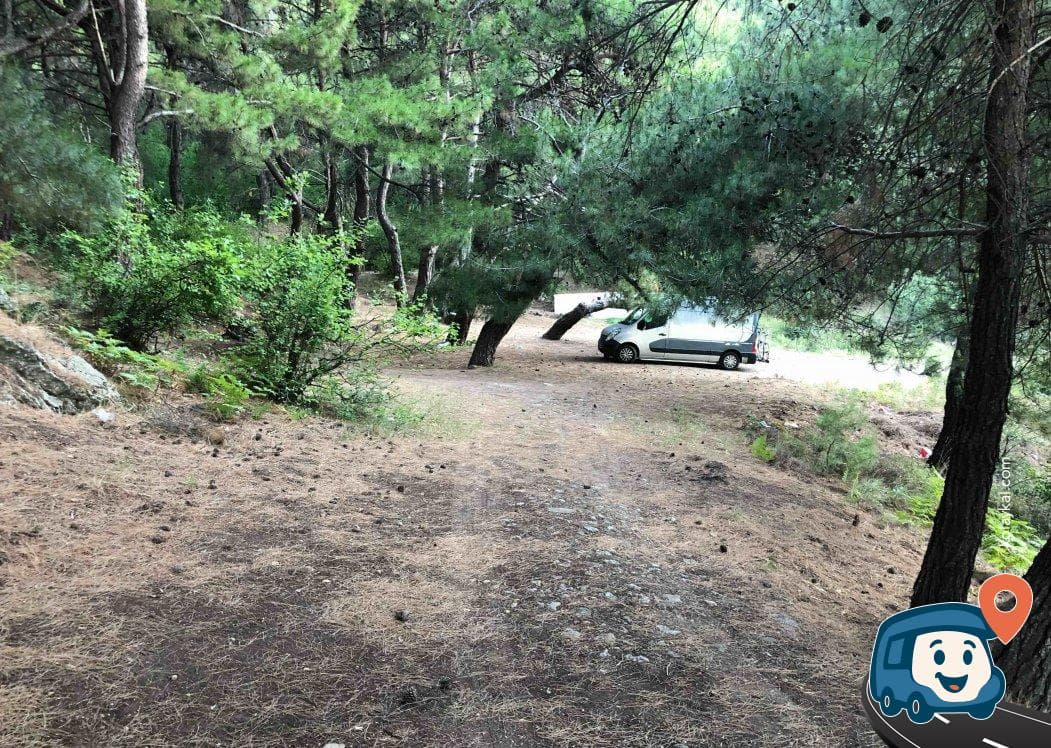 Çam Ağaçları Altı Dinlenme Alanı - Ayvacık, Çanakkale, foto 1