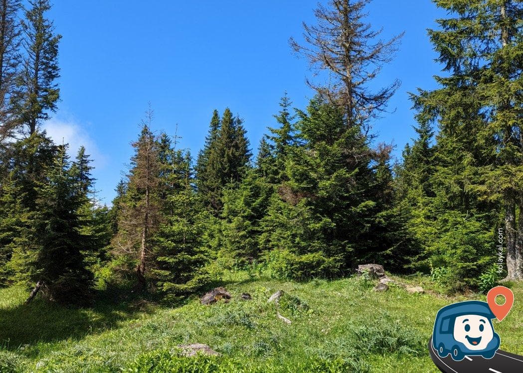 Maçka Kamp Alanı - Akçaabat, Trabzon, foto 2