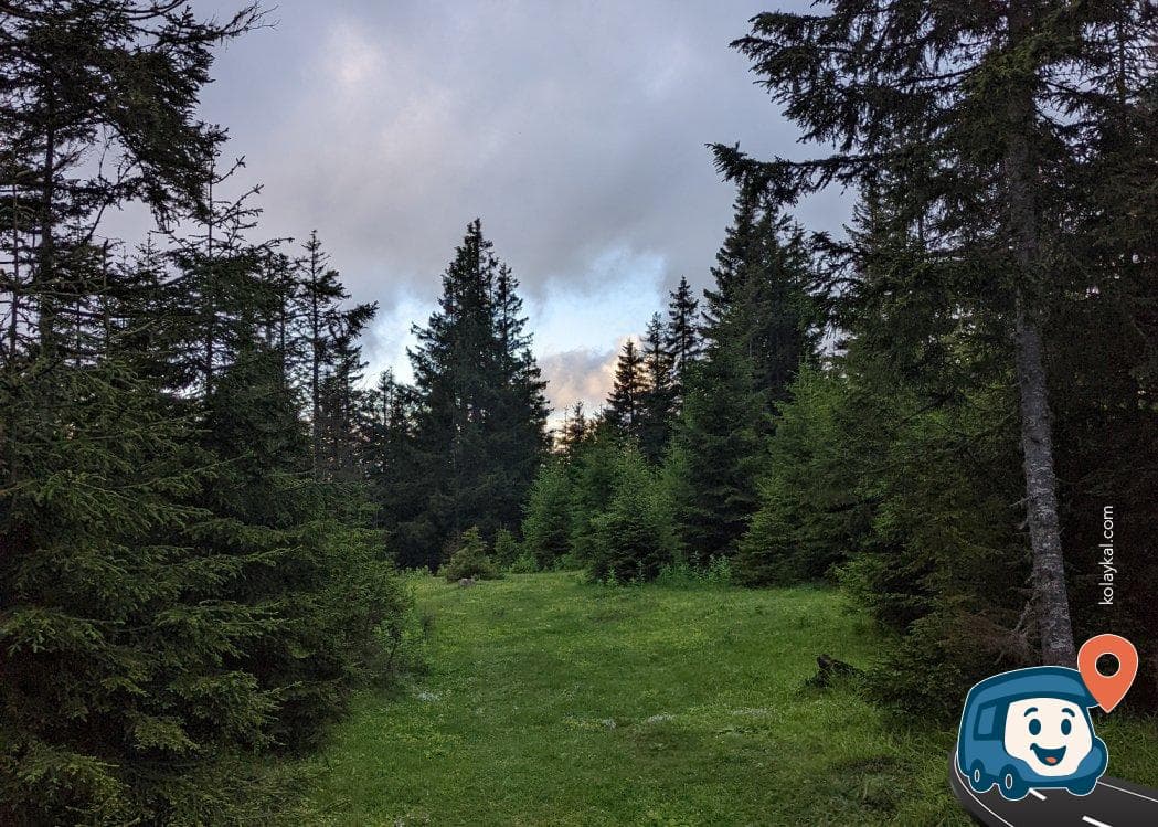Maçka Kamp Alanı - Akçaabat, Trabzon, foto 3