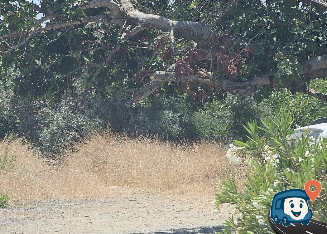Alanya Mersin Eski Yolu Tek Araçlık Deniz Manzaralı Kamp Noktası - Antalya, foto 3