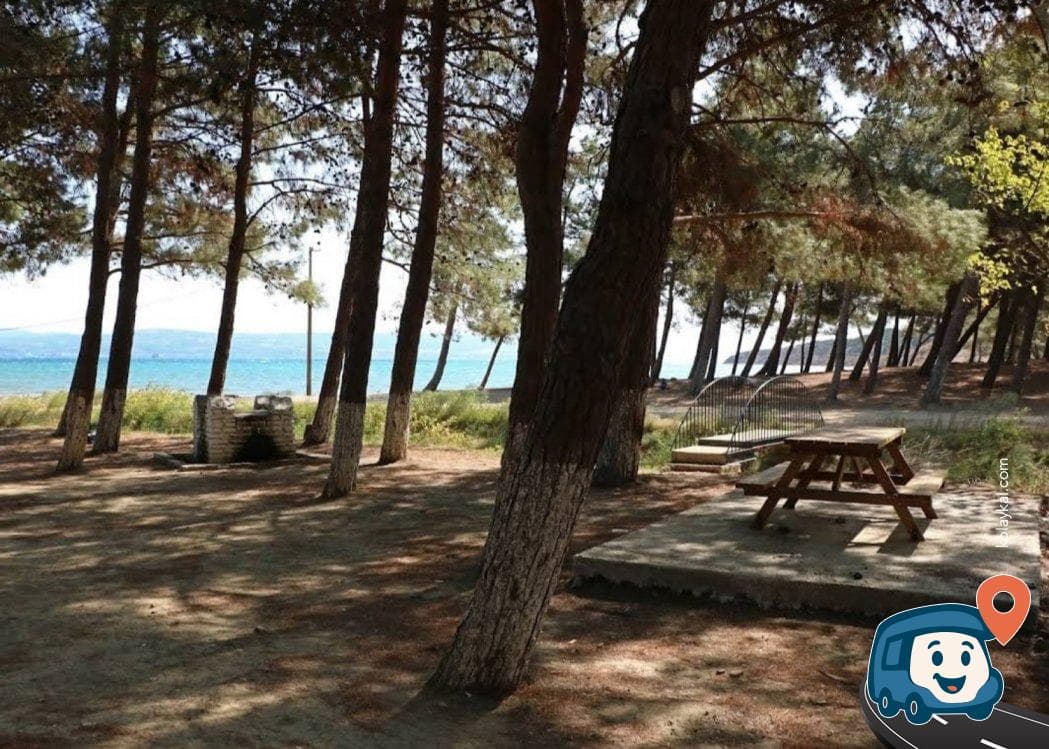 M. Nuri Erer Belediye Çamlığı Piknik Sahası - Gelibolu, Çanakkale, foto 1