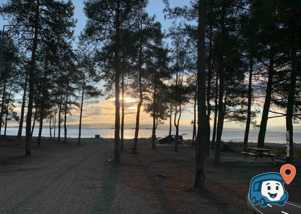 M. Nuri Erer Belediye Çamlığı Piknik Sahası - Gelibolu, Çanakkale, foto 3