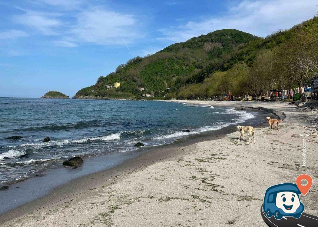 Bolaman Perşembe Sahil Yolu Ücretsiz Kamp Alanı - Ordu, foto 2